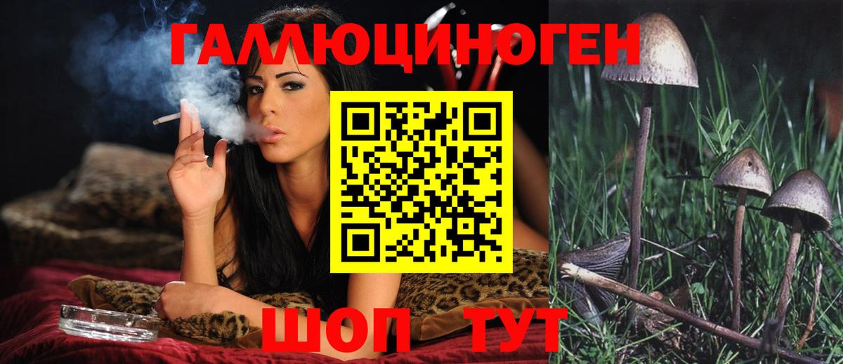 Псилоцибиновые грибы MAGIC MUSHROOMS  Псилоцибиновые грибы Psilocybine cubensis  Дедовск  наркошоп  Вход с VPN 