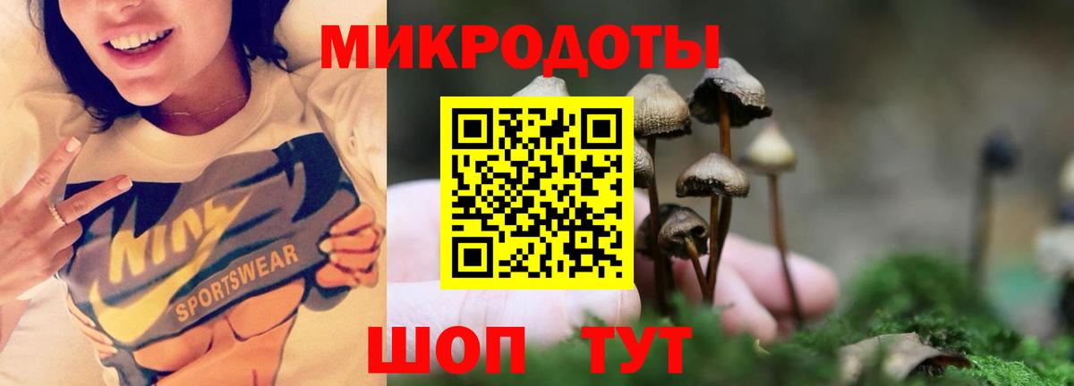  Cocaine Дедовск